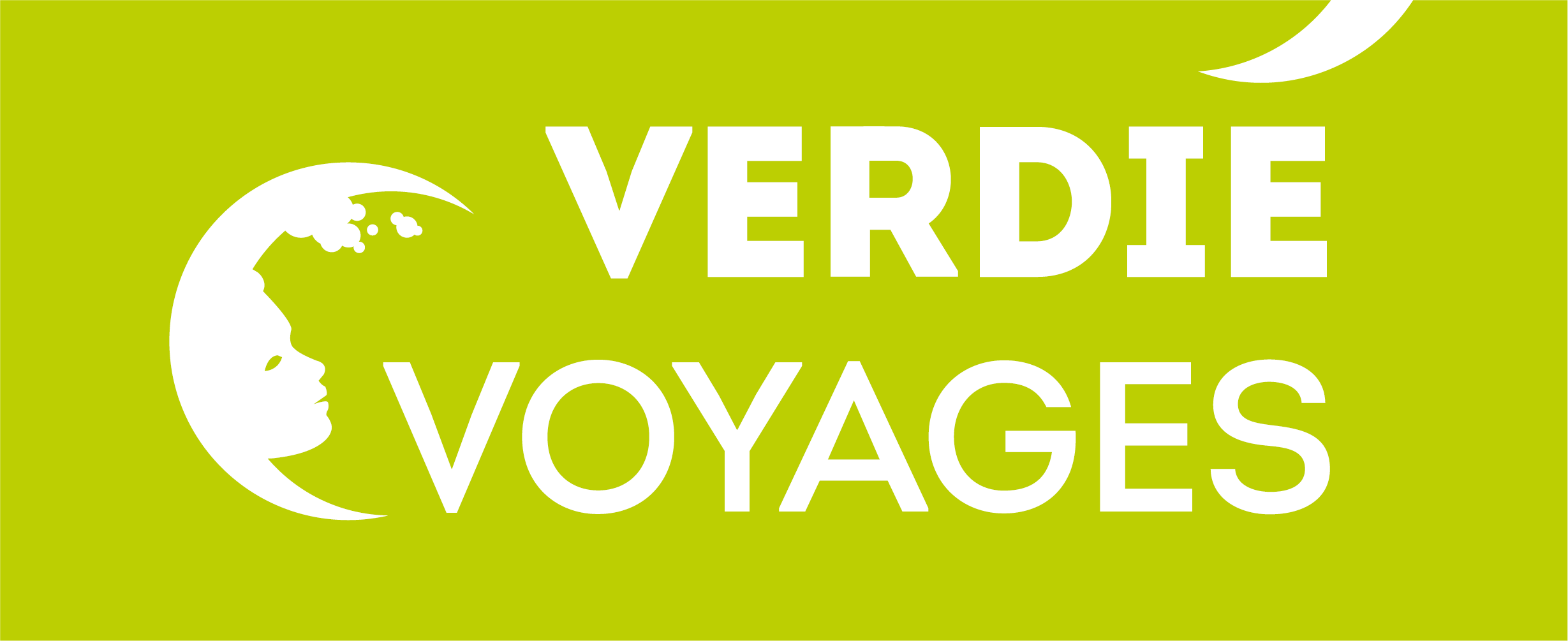 Logo Verdié Voyages accent transparent
